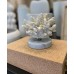 Escultura Coral Off-White 